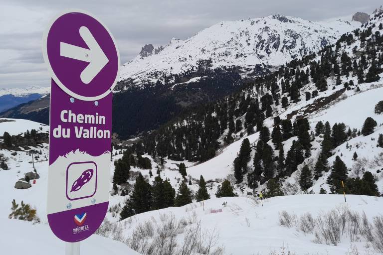 SENTIER HIVER "Chemin du Vallon" (Raquettes) image2