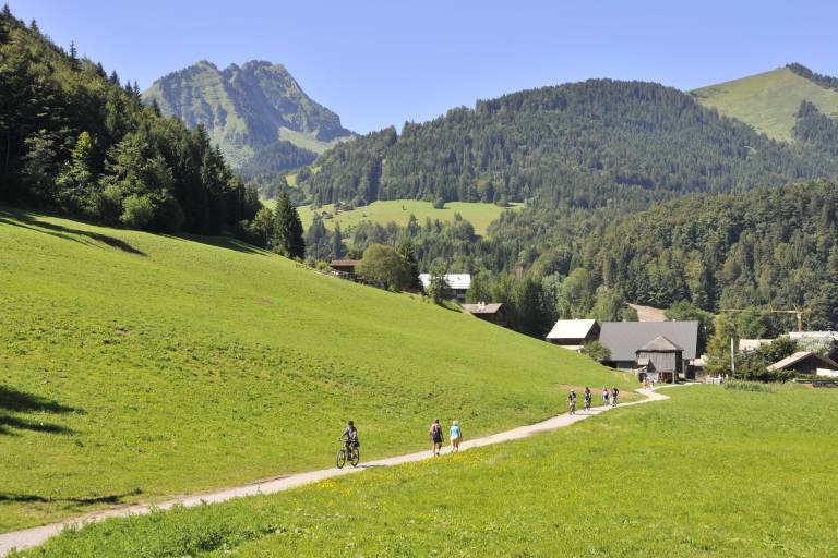 Chemin des bords de Dranse d'Abondance à Châtel image2