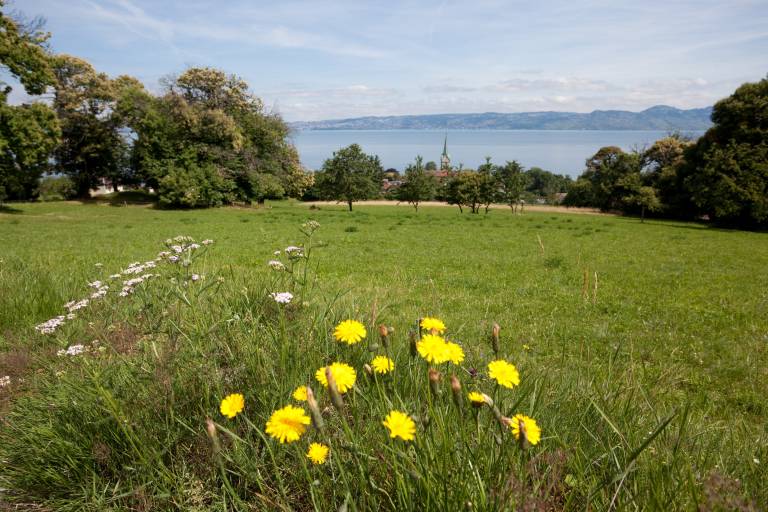 Hike in Lugrin, through its hamlets image1