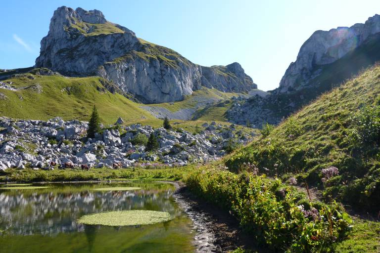 Walking itinerary : Loop around the Case d'Oche lake image1