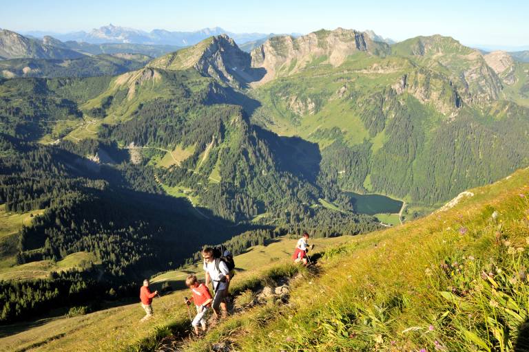 Randonnée le Mont de Grange (A/R) - Abondance image2