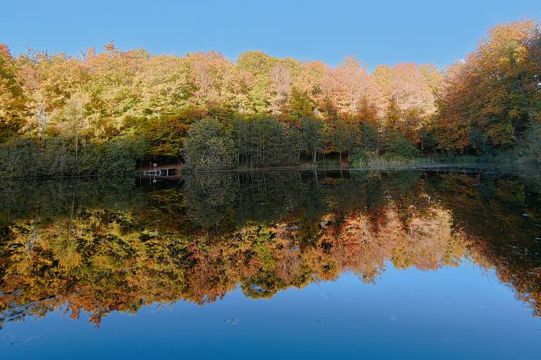 Around the Beunaz lake and black lake image2