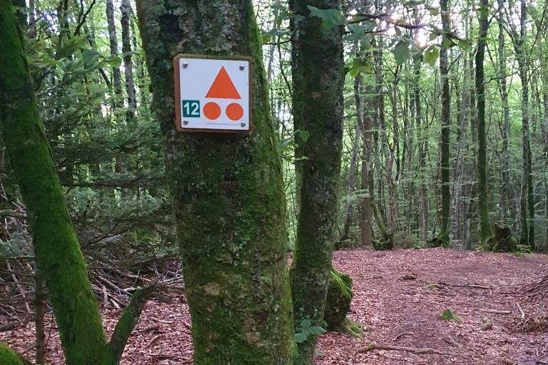 VTT : Circuit n°12 Le Bois du Fayet image1