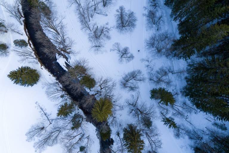Itinéraire raquettes : Sur Bayard par la cascade image1