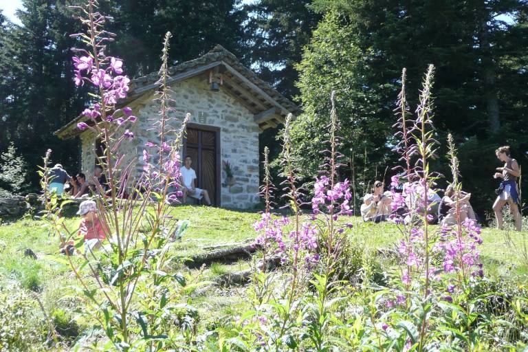 Walking loop : Loëx plateau image2