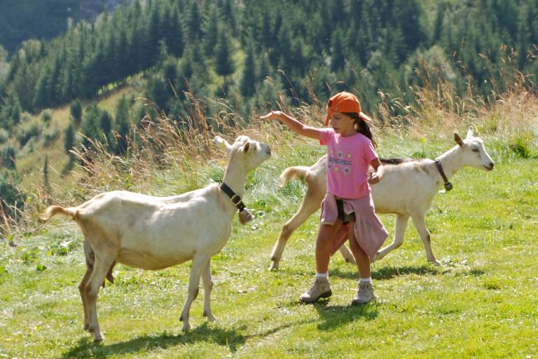 Walking itinerary: Alpage de la Vieille image2