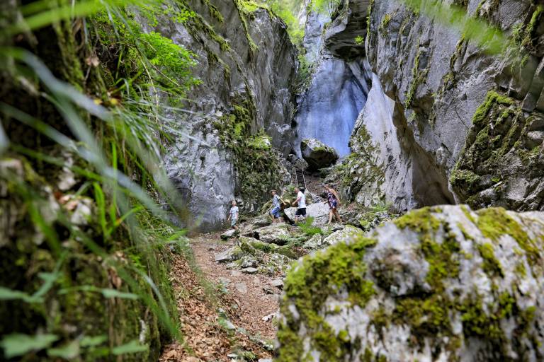 Itinéraire pédestre : Les Gorges des Tines image2