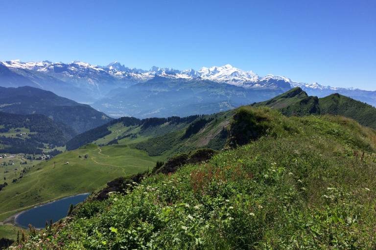 Marcelly Loop image2