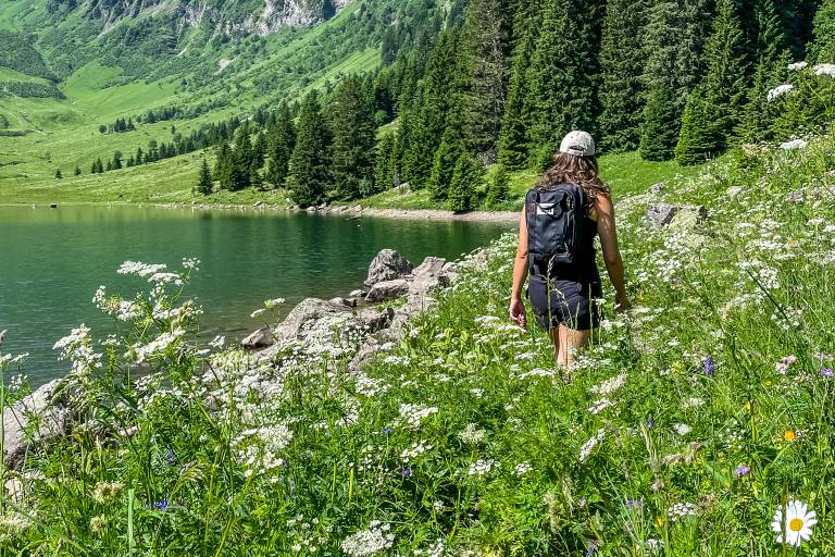 Rando’bus Morillon  – Sixt Fer-à-Cheval par Les Grands Vans et Refuge de Gers image1