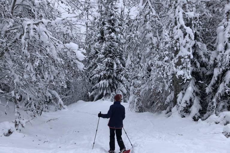 Snowshoeing itinerary : The Charniaz plateau image2