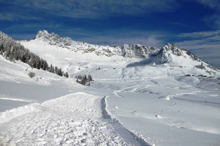Itinéraire raquette : La boucle de Farquet image1