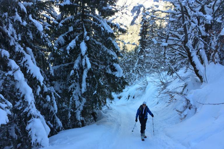 Piste de ski de randonnée : Bouquetin image1