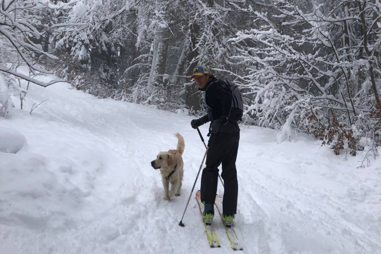Piste de ski de randonnée : Gypaete image1