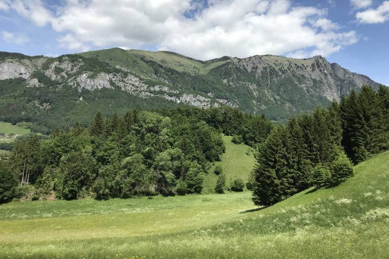 Mont Mailly Mountain Biking Loop image2