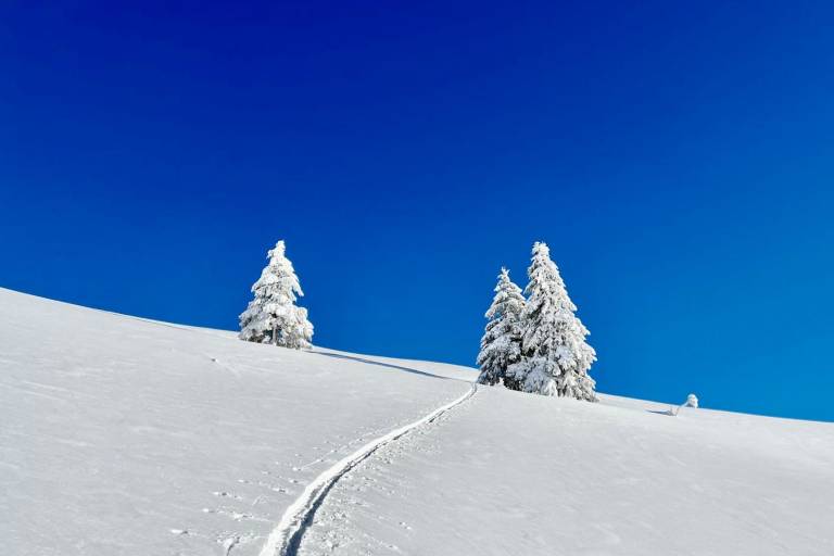 Col de cou en Hiver image1