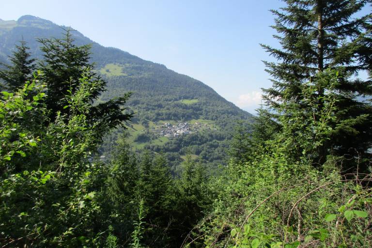 La grande forêt - B22 image1