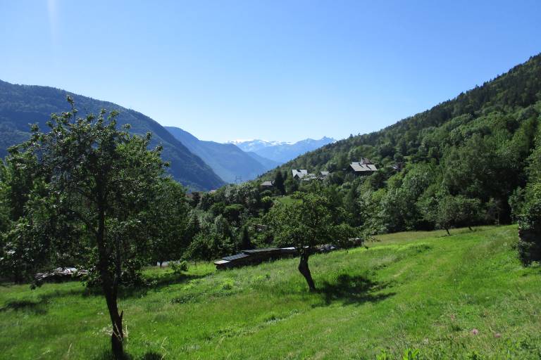 La Puceronne - B4 image1