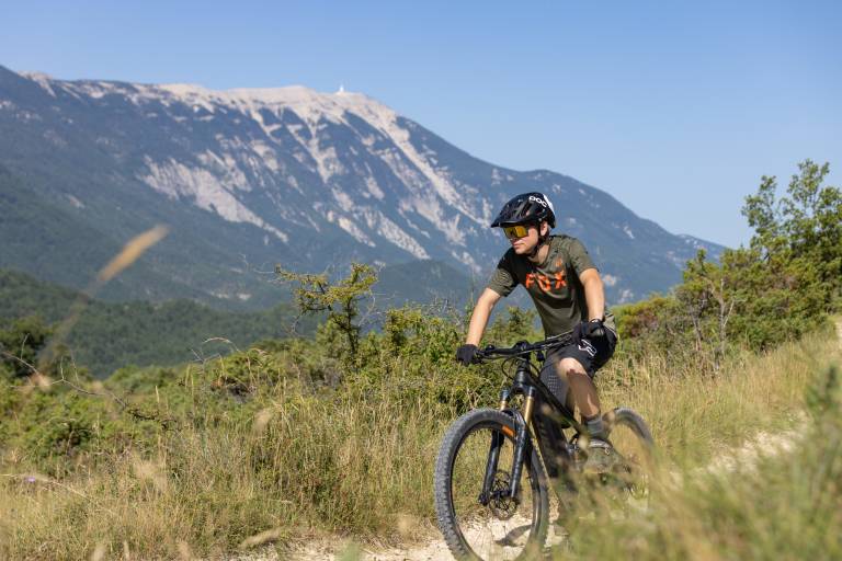 Le rocher de Vic image1