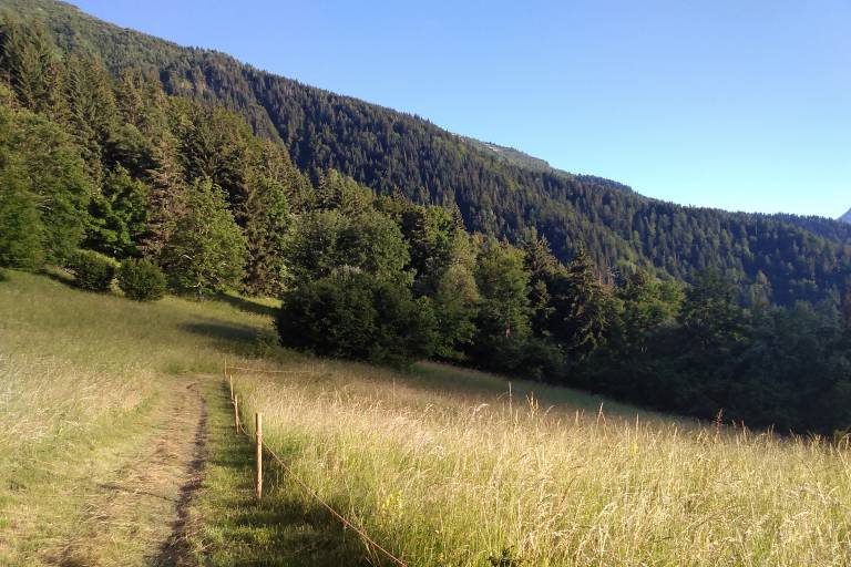 D'Oz Station à Sardonne image1