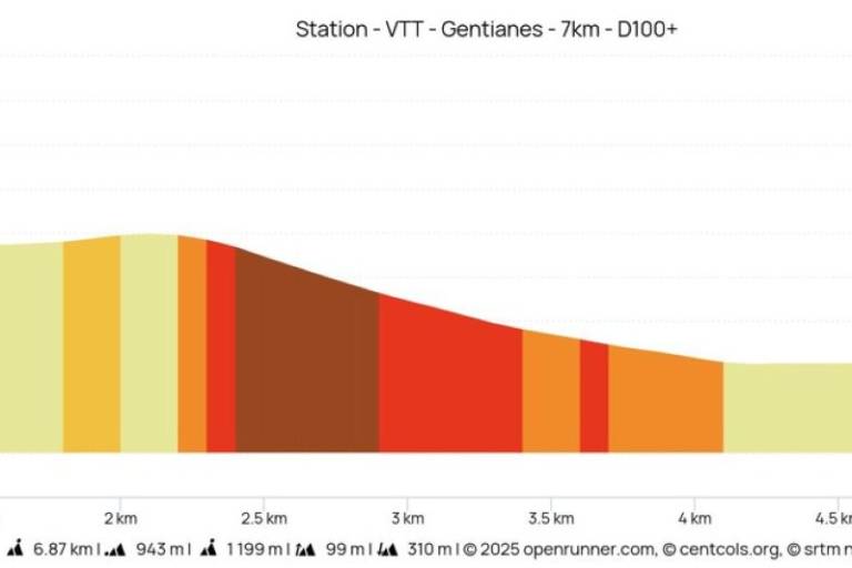 Parcours VTT des Gentianes image2