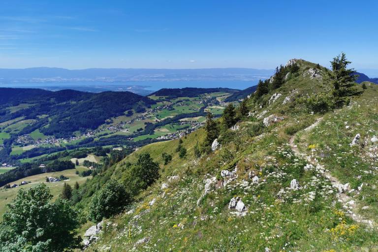 Randonnée "Les crêtes d'Hirmentaz depuis le Darandet" image1