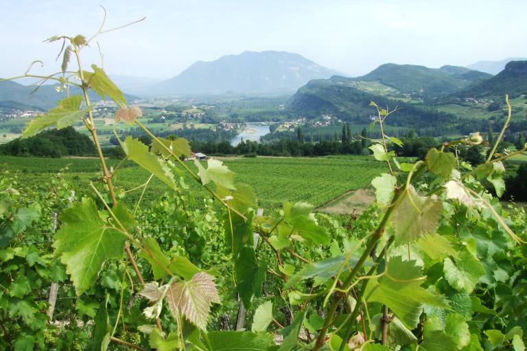 Compostelle Savoie - Stage 2 - From Chanaz to Yenne image1