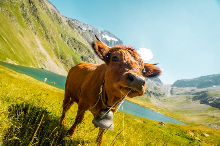 Randonnée Grand Tour des Lacs Muzelle et Lauvitel image1