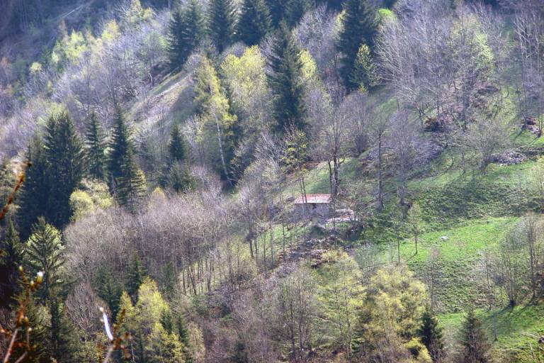 Hike - Tour of Le Pleynet and Laffreyte image1