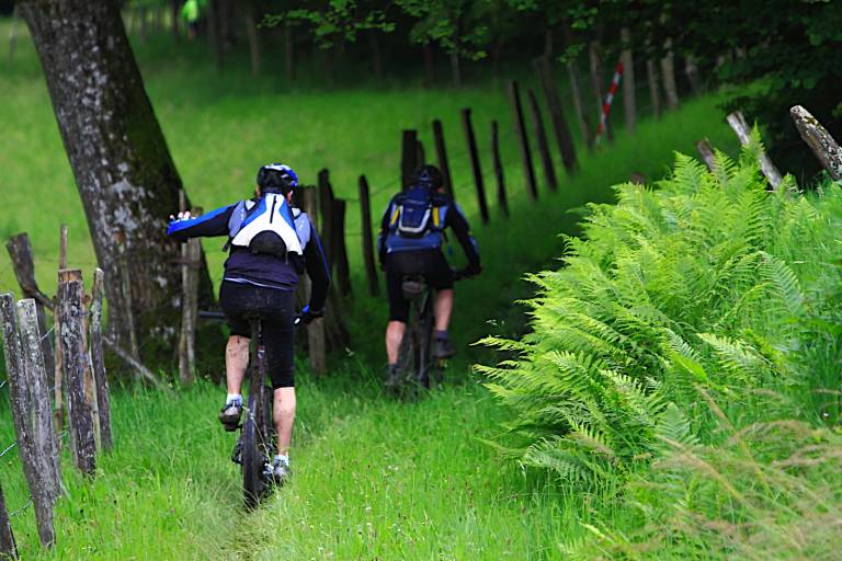 Raclet loop - Mountain bike circuit n°29 image1