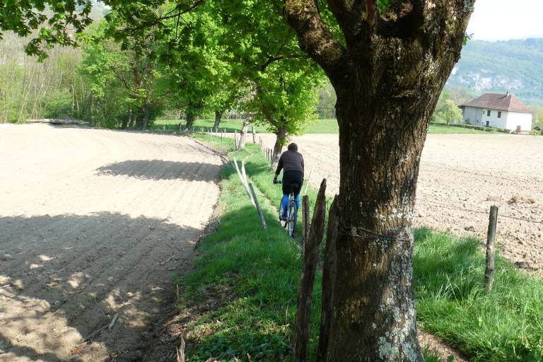 Circuit VTT n°32 - Autour du Thiers image1