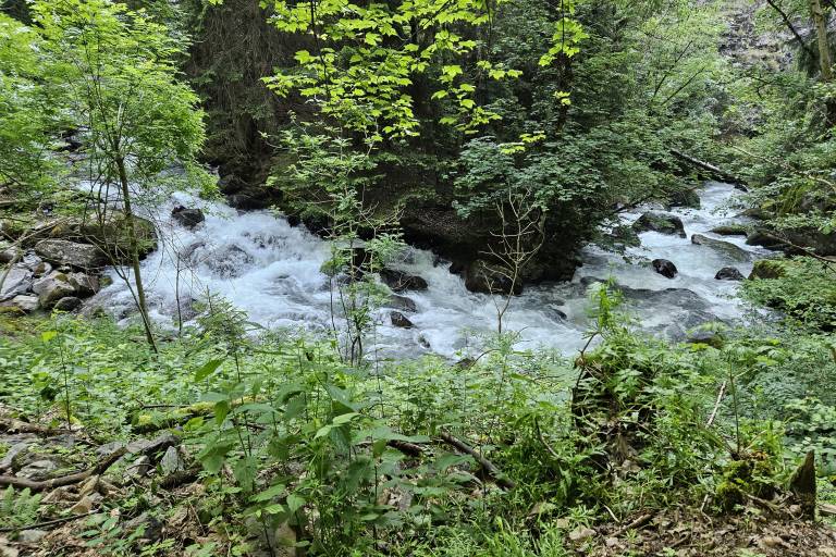 La Cascade de la Piche - Randonnée image2