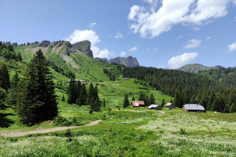 Itinéraire pédestre - Col de l'Aulp Couti depuis Bassachaux image2