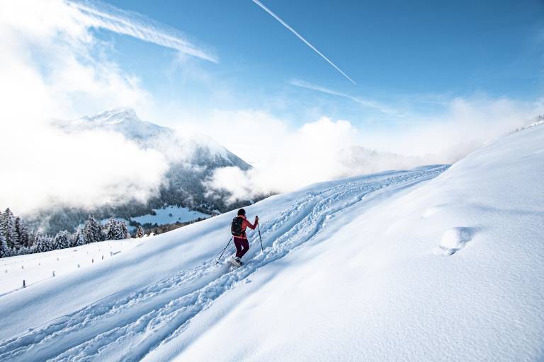 Itinéraire raquettes -  Les Québales image1