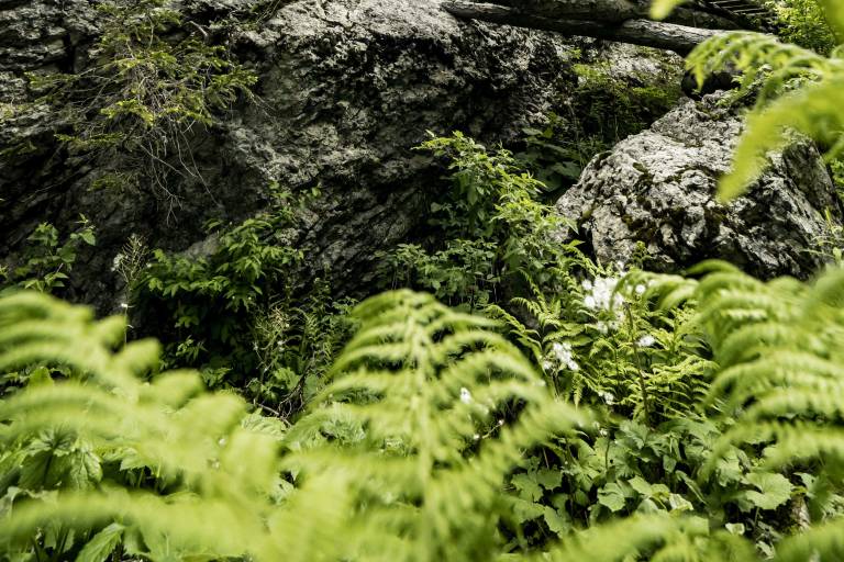 MTB trail the Air Voltage image2