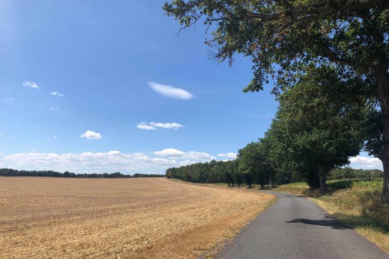 Bike ride in the Sologne bourbonnaise area image1