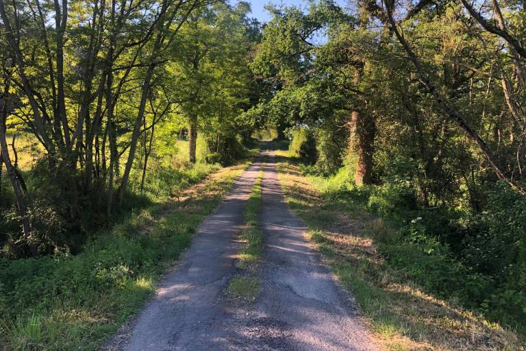 The Pannessière castle bike ride image1