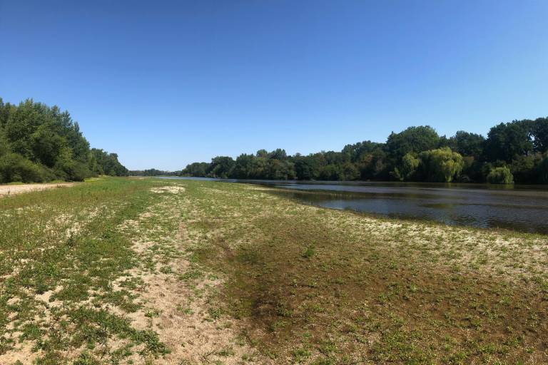 Dans le port de Saint-Léo, y'a des marins qui chantent ! image1