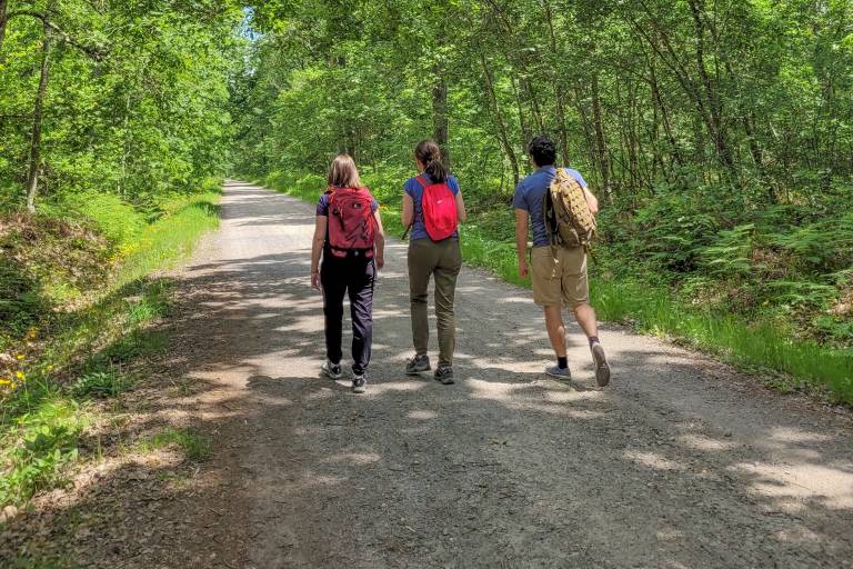 PR 2 : Parcours de la forêt de Bagnolet image1