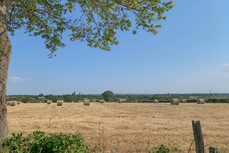 PR 17 : Circuit de la Brunanse - Les Nouettes image1