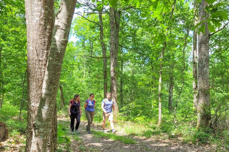 PR 25 : La Croix Pelletier image1