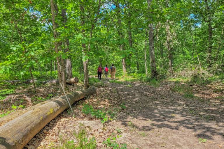 PR 26 : Circuit de Bonnefond image1