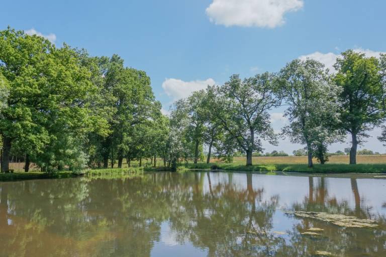 PR 42 : Circuit d'Yzeure image2