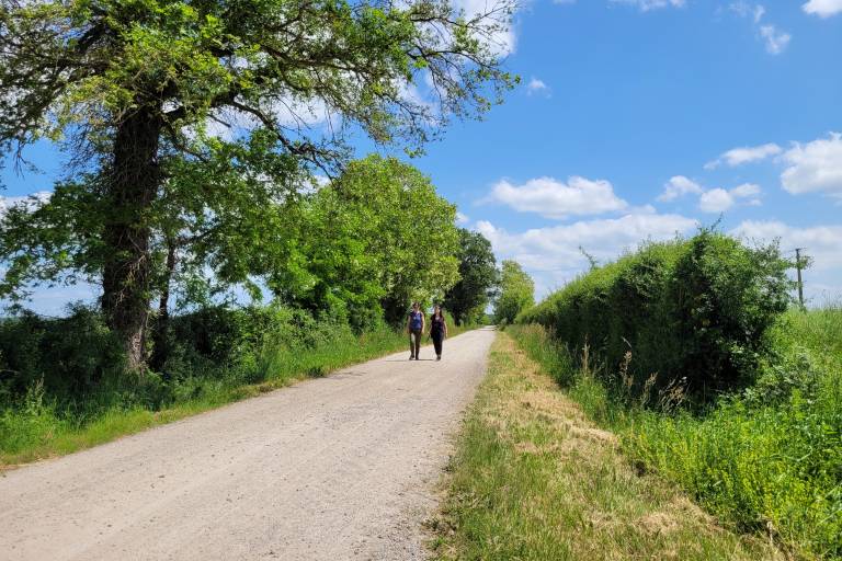 PR 33 : Chemin de la Brigandière image1