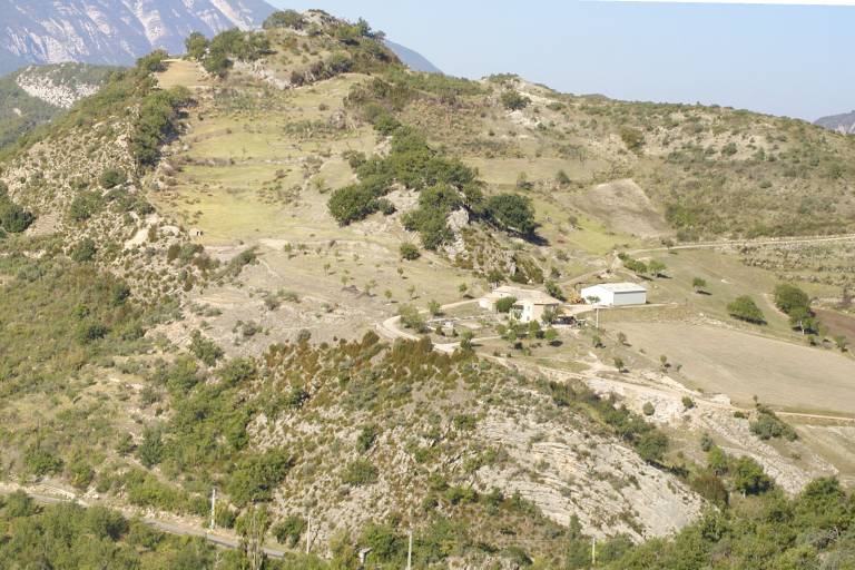 Tremble Feuille image1