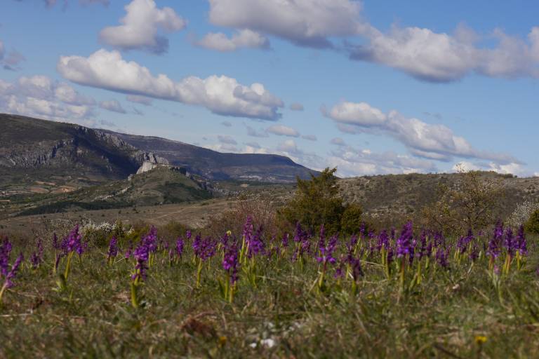 Montagne de Buc depuis Barret image1