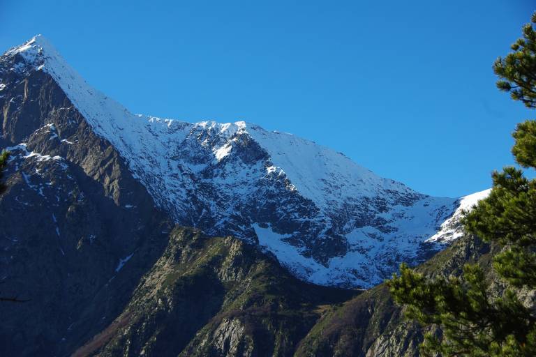 Circuit pédestre : La forêt des Roudons image2