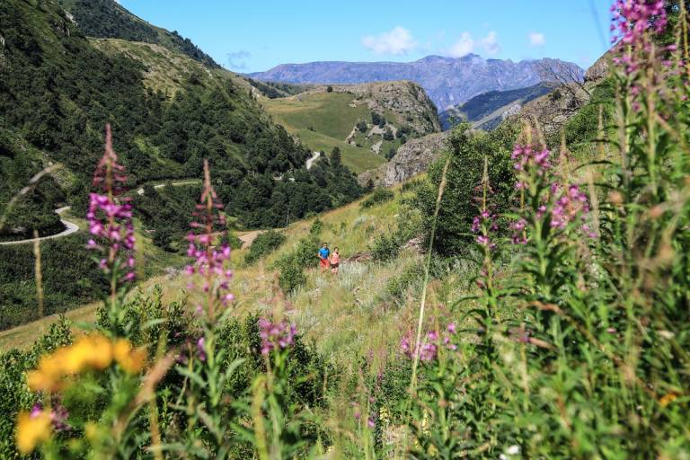 Tour du Signal de l'Homme - Randonnée depuis Auris-en-Oisans image2