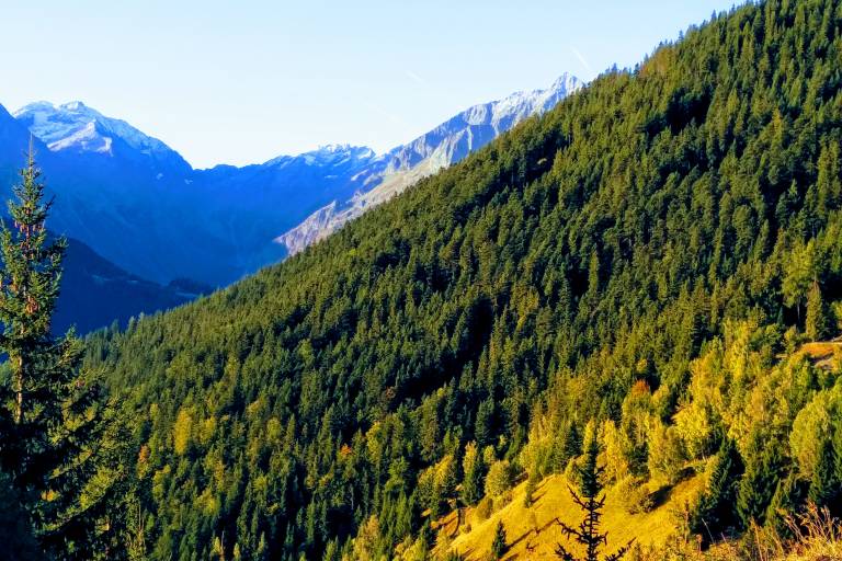 Auris - Plancet - Rando Boucle image2