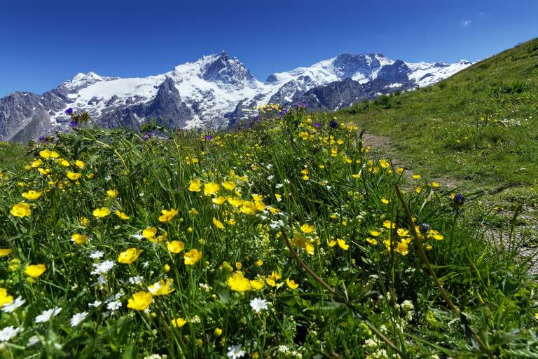 Petite boucle de Clos Raffin image1