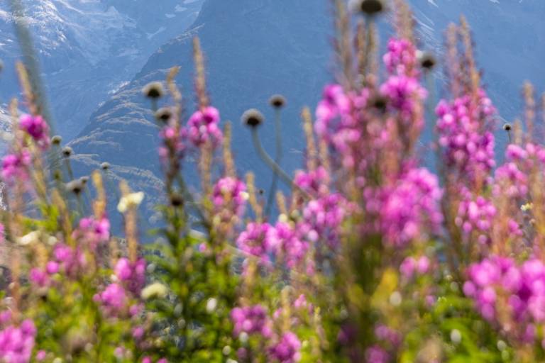 Le GR54 de La Grave à Arsine image2